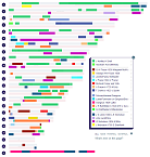 Link to Hartley DNA & Genealogy Blog